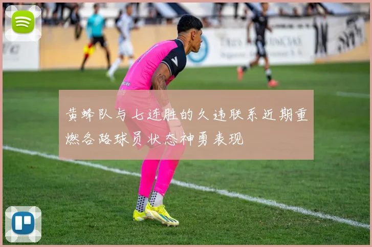 黄蜂队与七连胜的久违联系近期重燃各路球员状态神勇表现