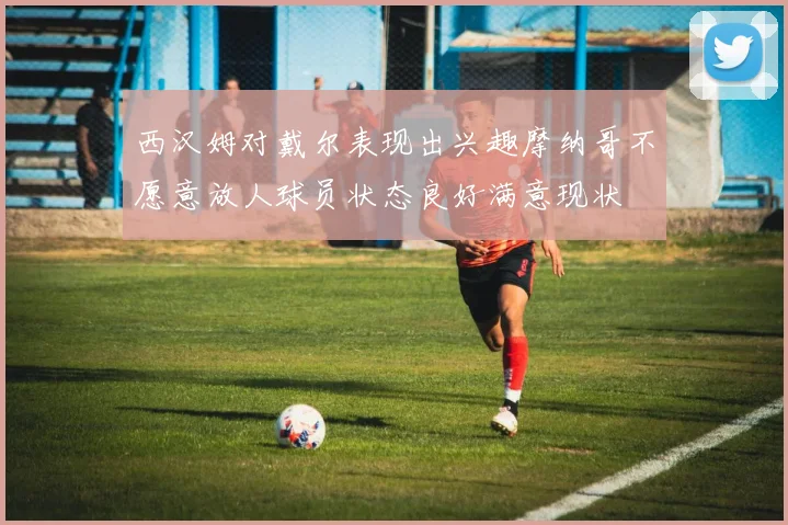 西汉姆对戴尔表现出兴趣摩纳哥不愿意放人球员状态良好满意现状