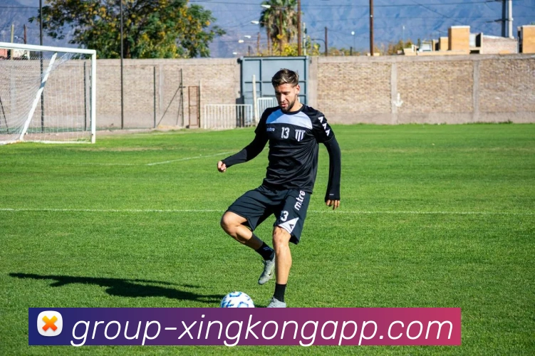 星空体育平台生态图