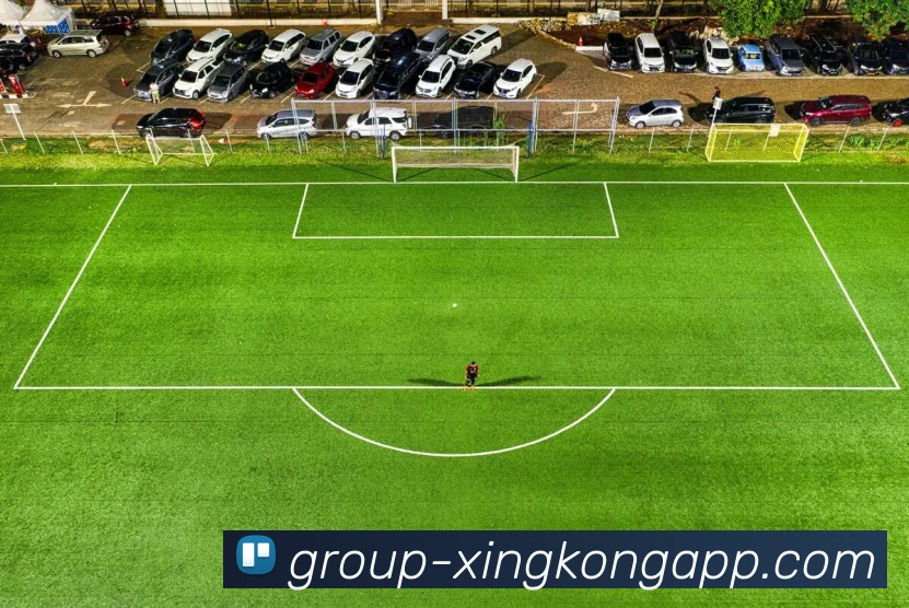 星空体育APP 封面图